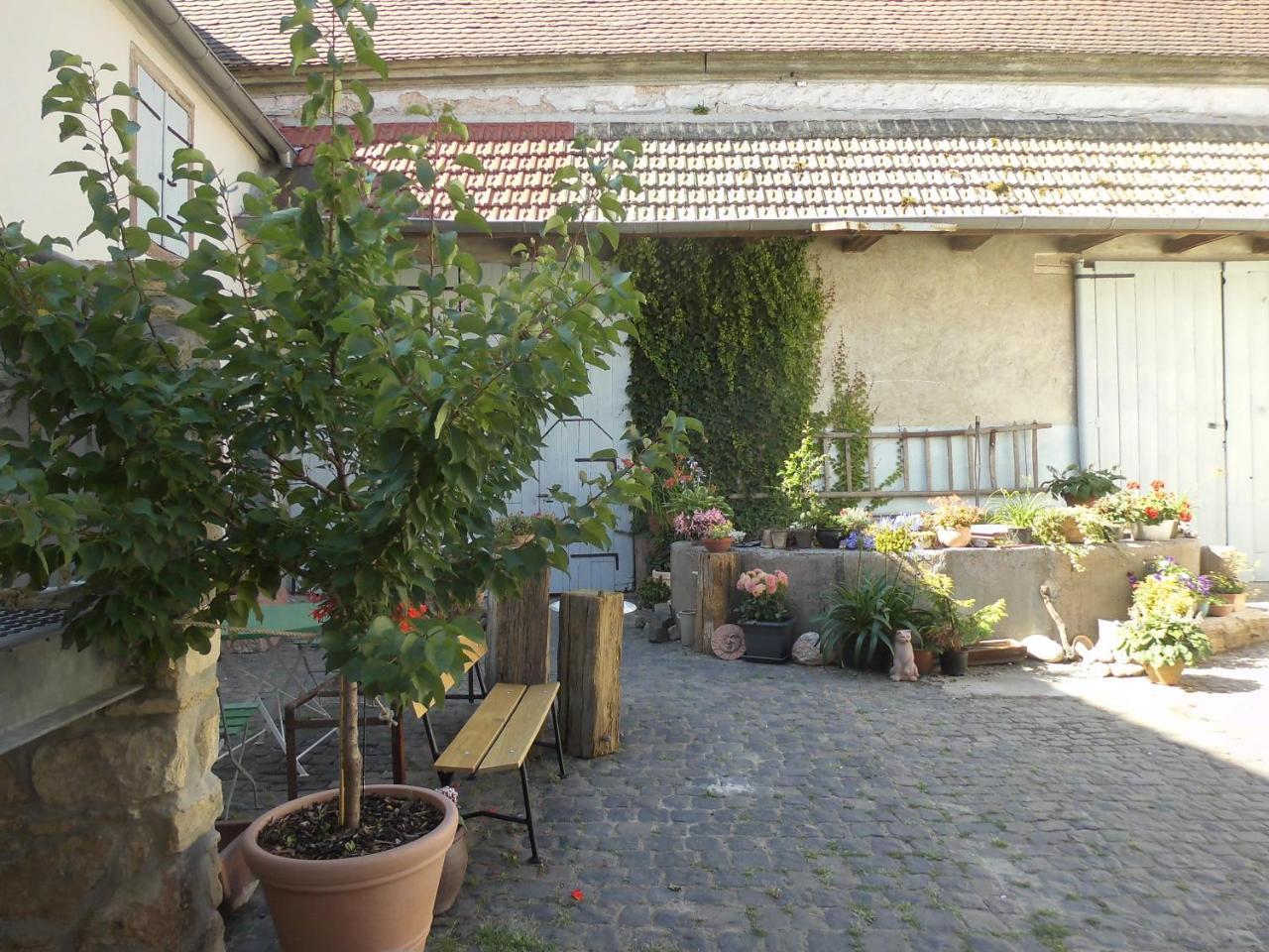 Gaestezimmer Mittelgasse Florsheim-Dalsheim Buitenkant foto