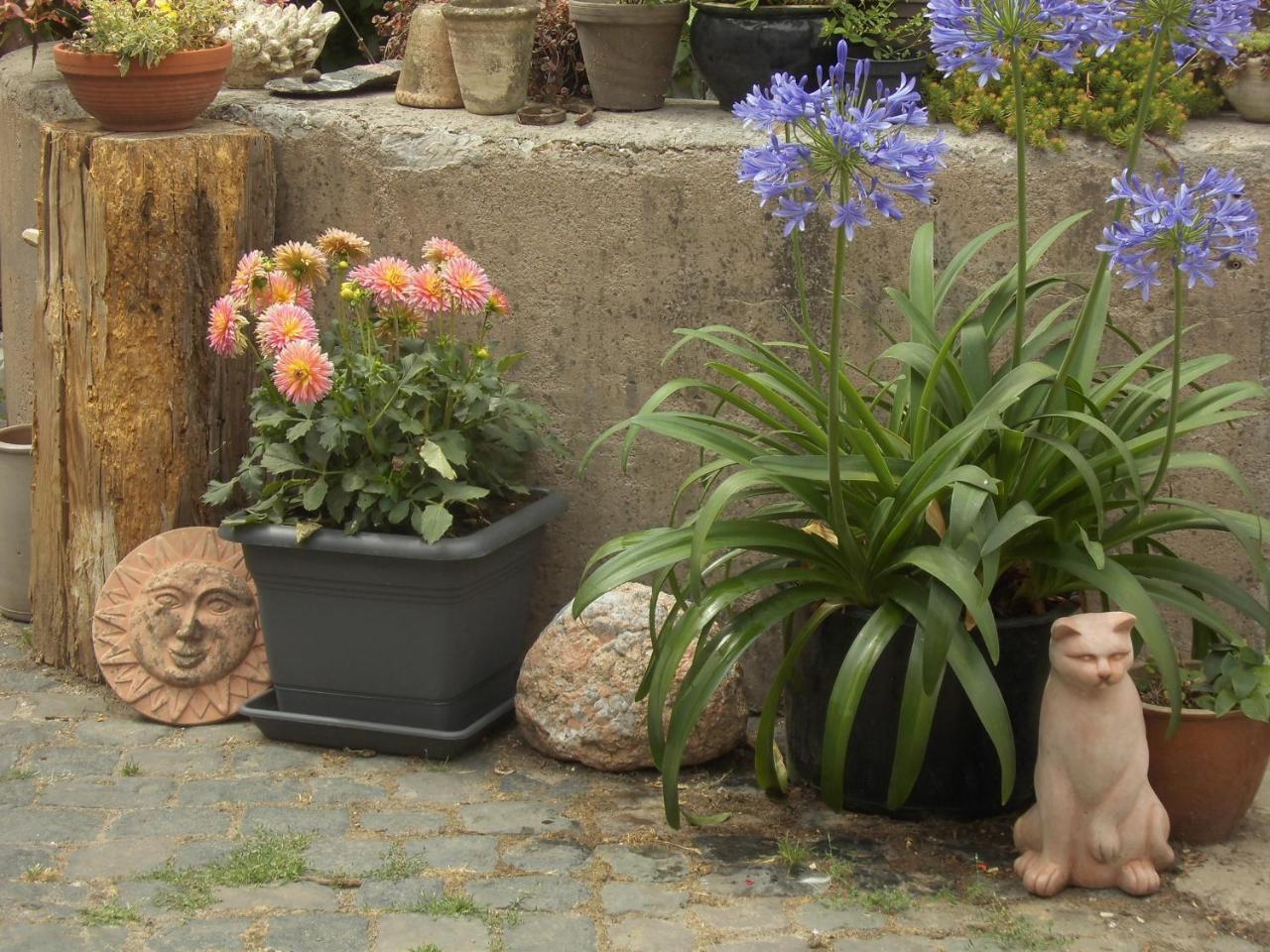 Gaestezimmer Mittelgasse Florsheim-Dalsheim Buitenkant foto